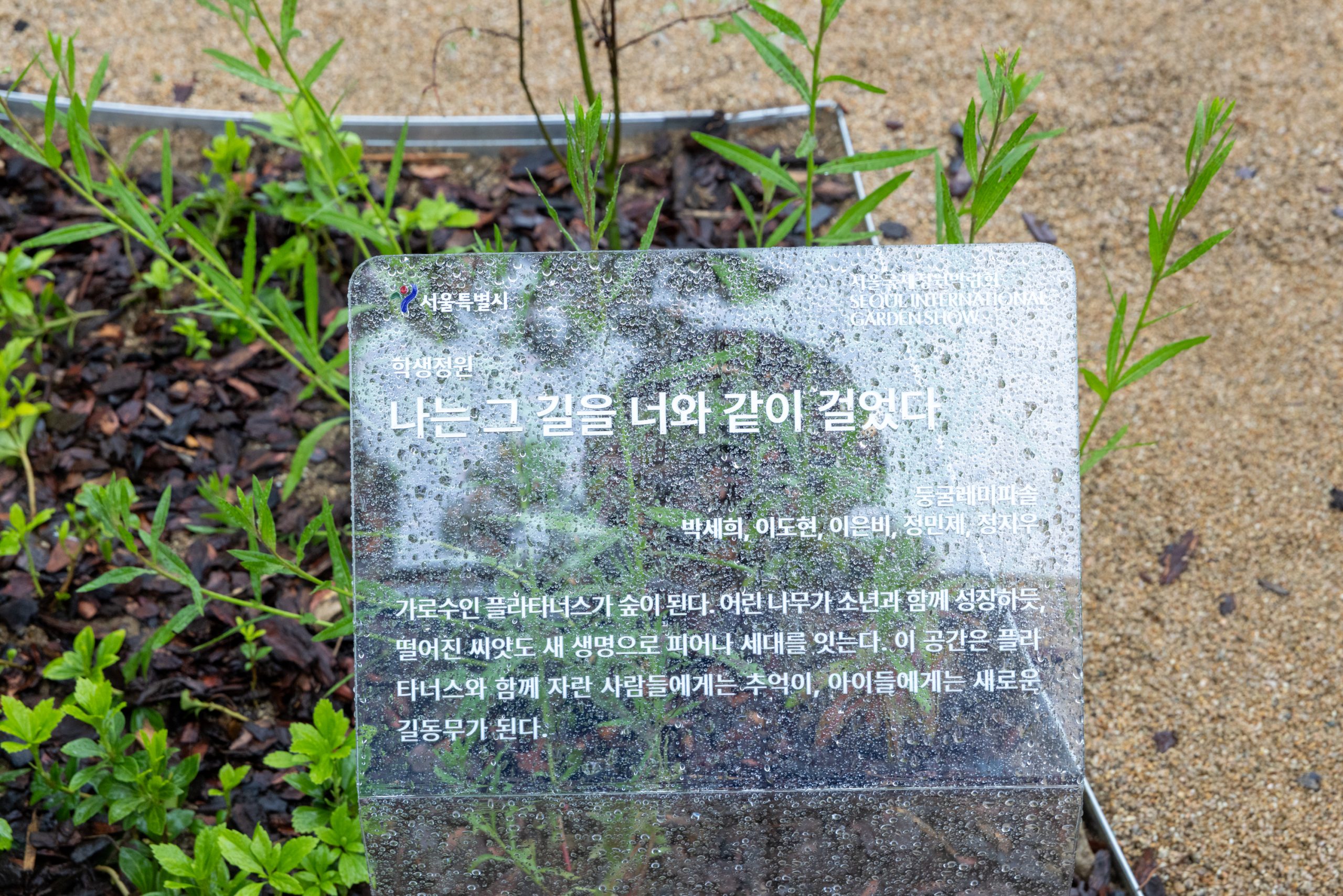 나는 그 길을 너와 같이 걸었다