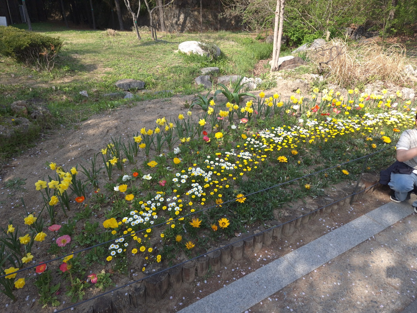 KakaoTalk_20250414_094003422_13