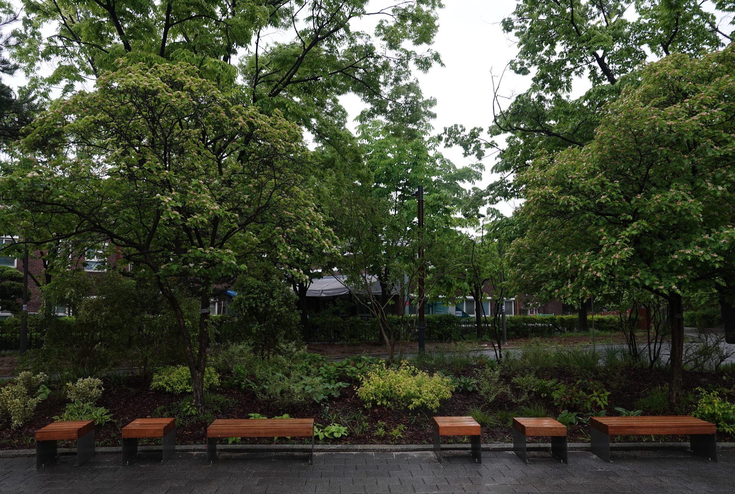 KakaoTalk_20250526_091253645_03