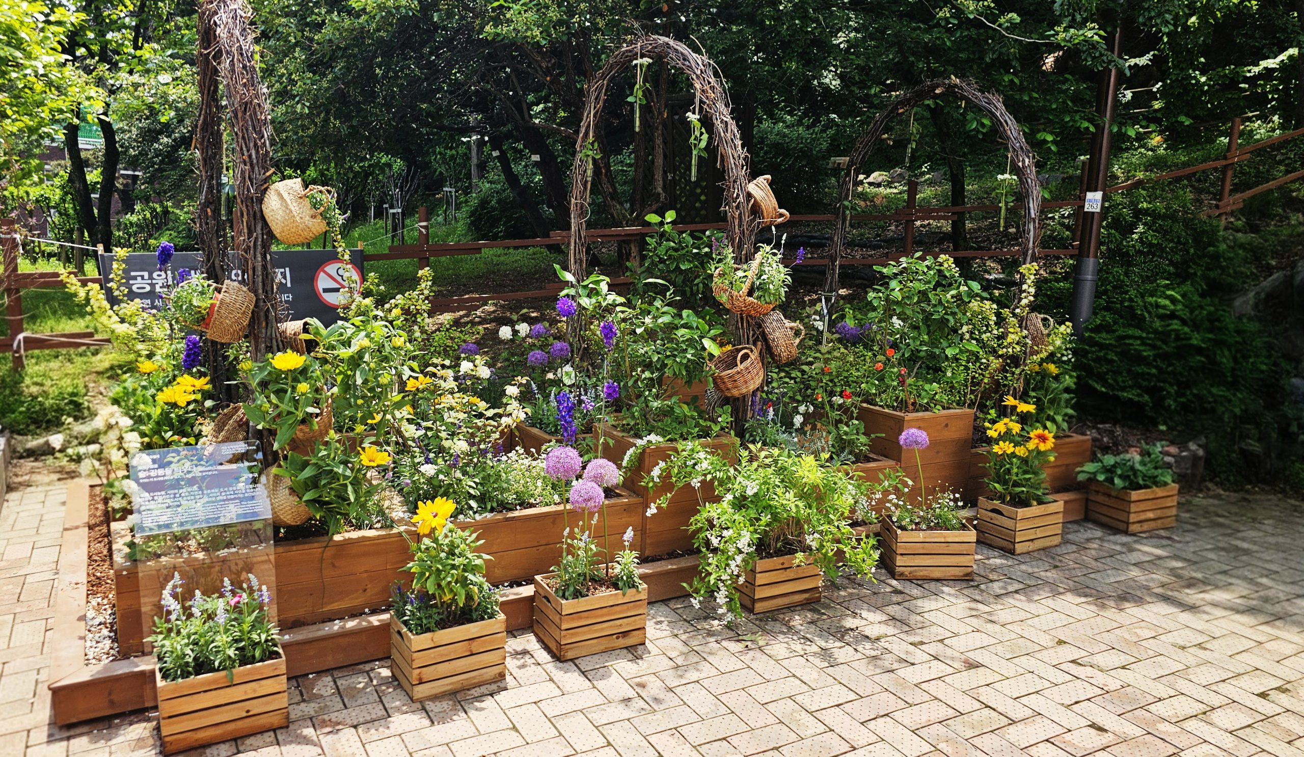 25. 강동구 정원