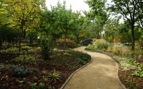 DSC00071