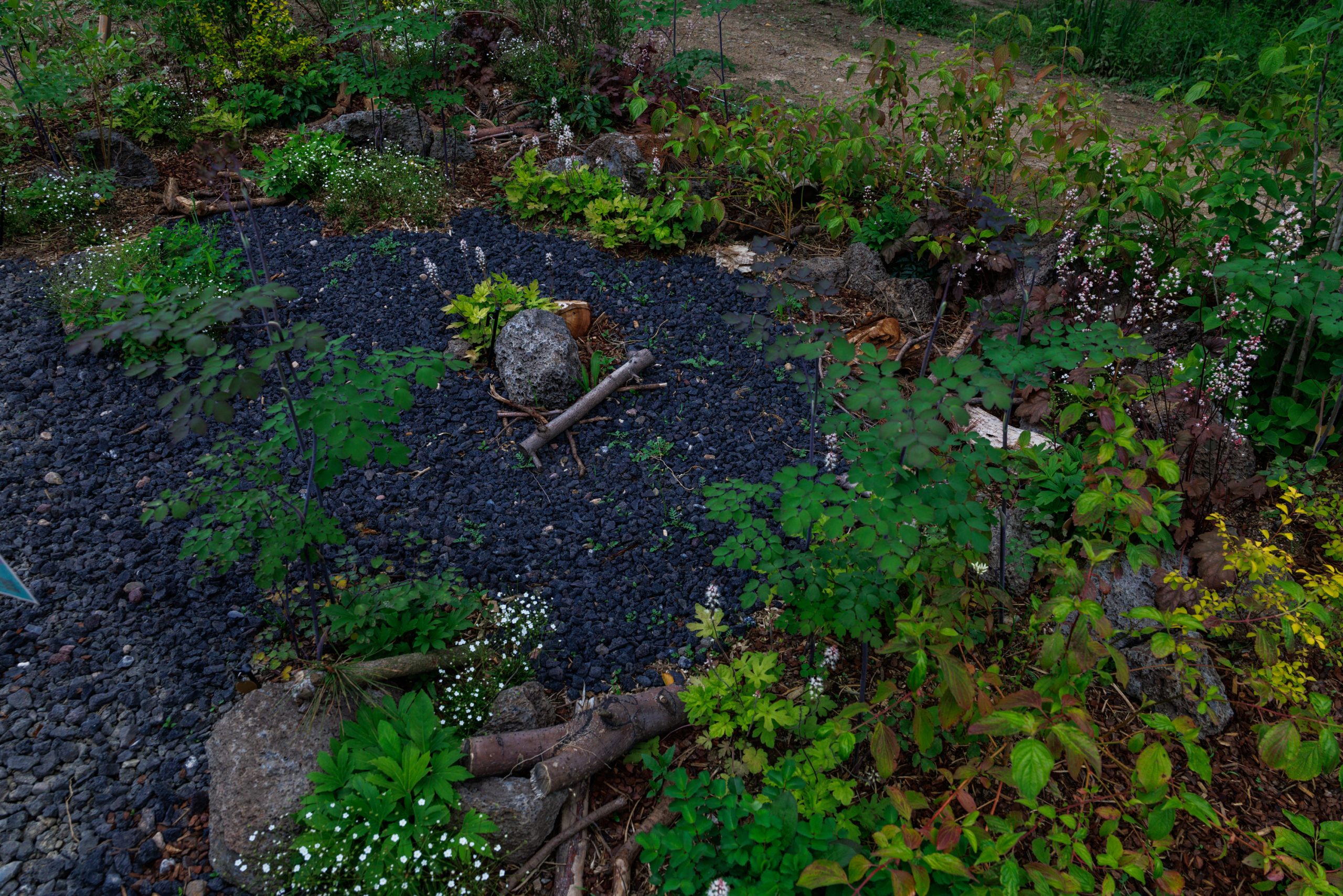 0519_BLUEO-209