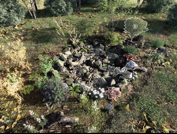 image12