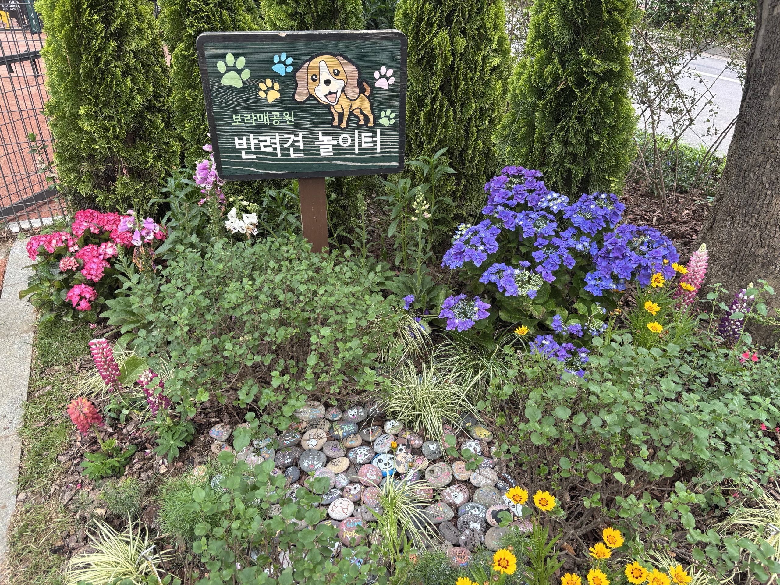 KakaoTalk_20250521_180829259_03