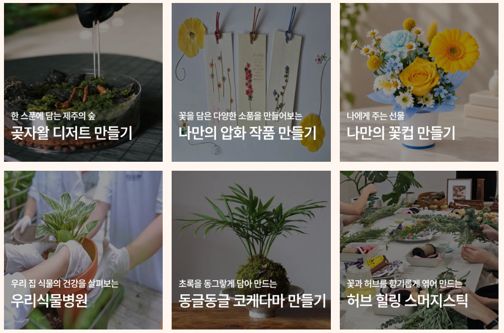 체험프로그램