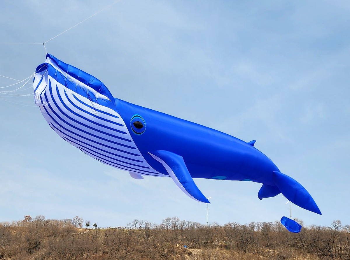 고래 30m2