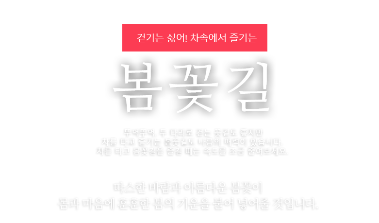 차 속에서 즐기는 봄꽃길