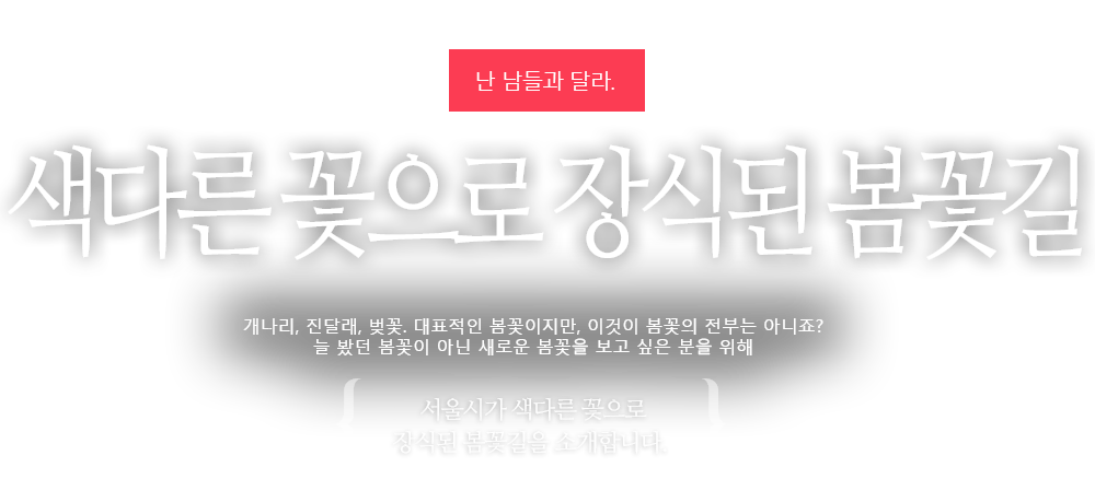 색다른 꽃으로 장식된 봄꽃길