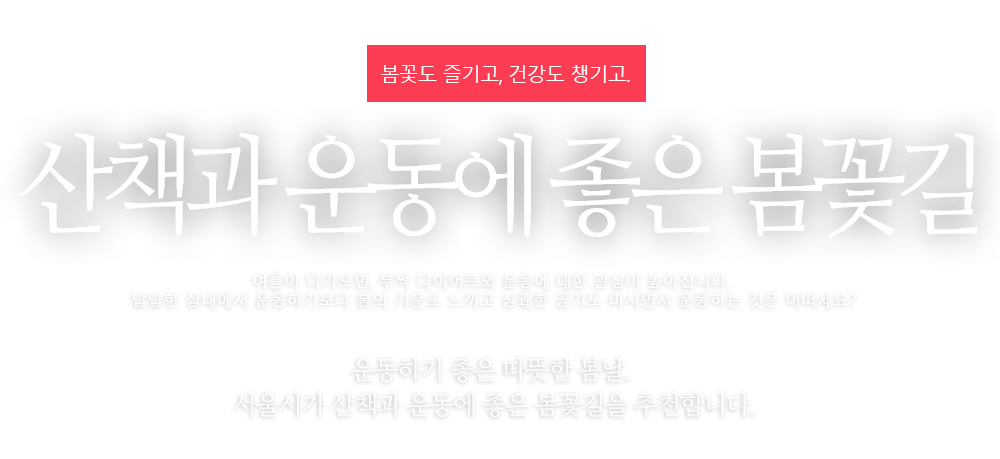 산책과 운동에 좋은 봄꽃길