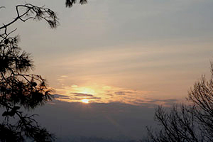 매봉산 정상