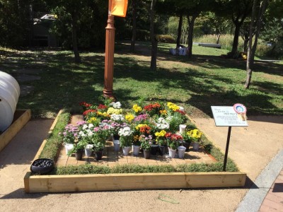 3a3Ud01519xmiohn4gu4w_qijkvx