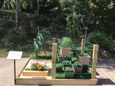 542Ud0157jiobp7evvr8_z6hsbz