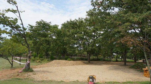 0.Sencitivity Garden