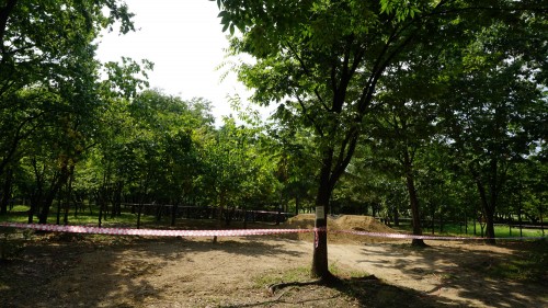 0.정원사의 정원