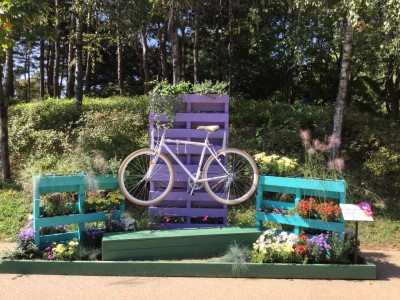 687Ud015uw90kzg2mjsc_nrewlp