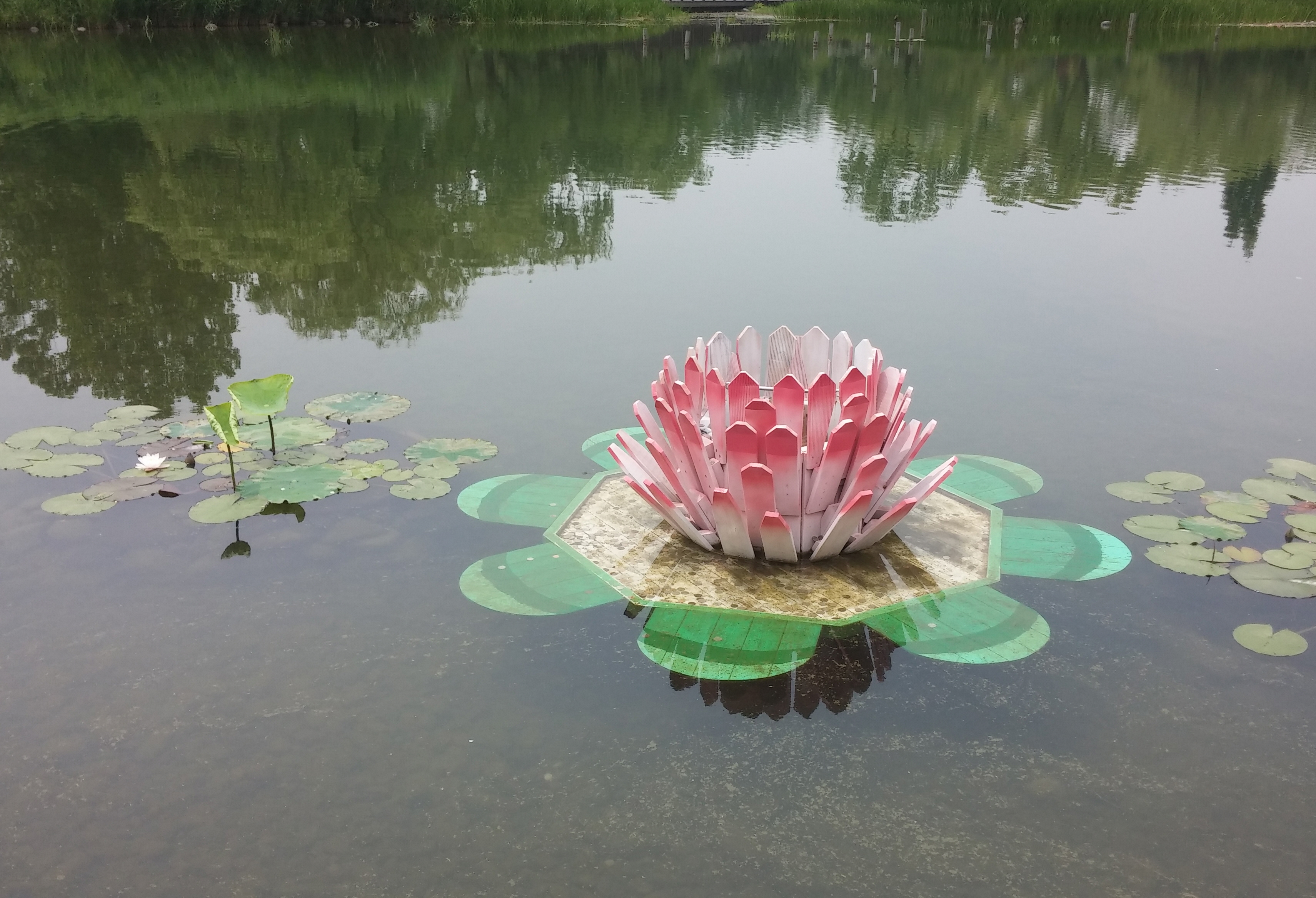 사본 -20160621_115242