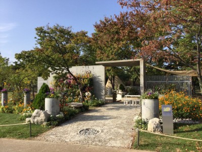 f2eUd01510f9hcng4wzqc_8kt9d3