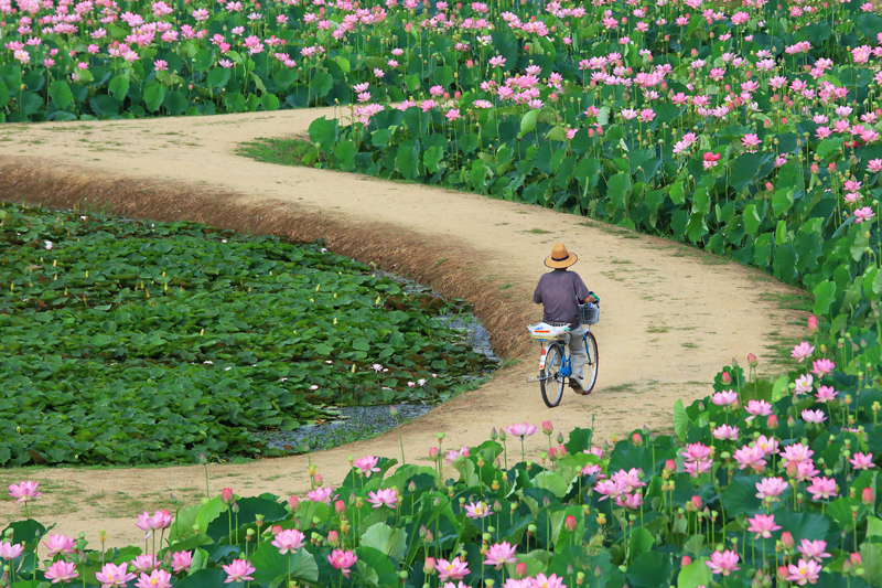 아름다운 조경‧정원사진 01