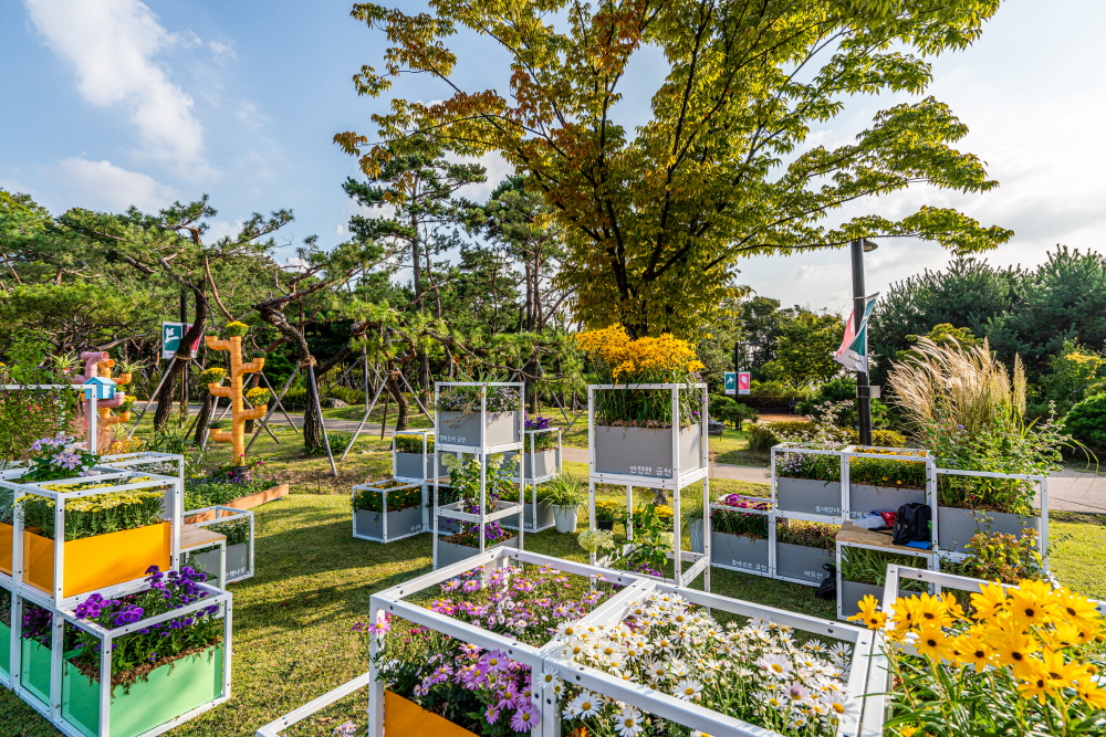 크기변환_BLU09606