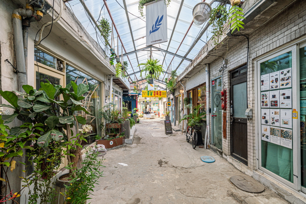 크기변환_BLU09263