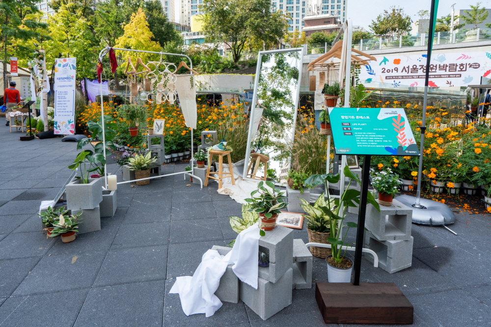 크기변환_BLU09495