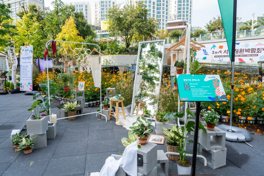 크기변환_BLU09494