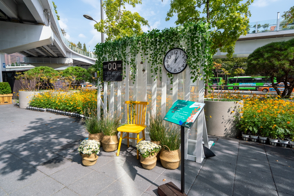 크기변환_BLU09453