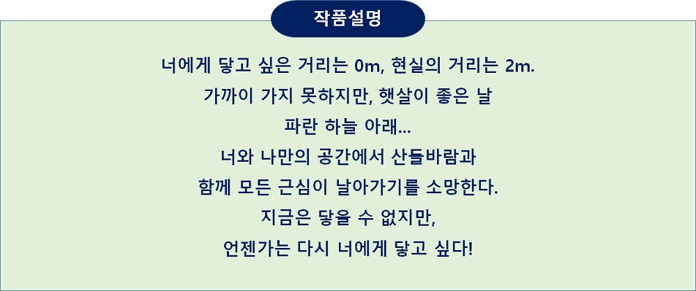 작품설명