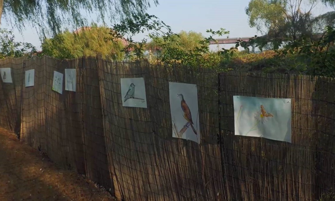 힐링 생태공원 : 영상 화조영모화 (시민참여형 온라인 전시)