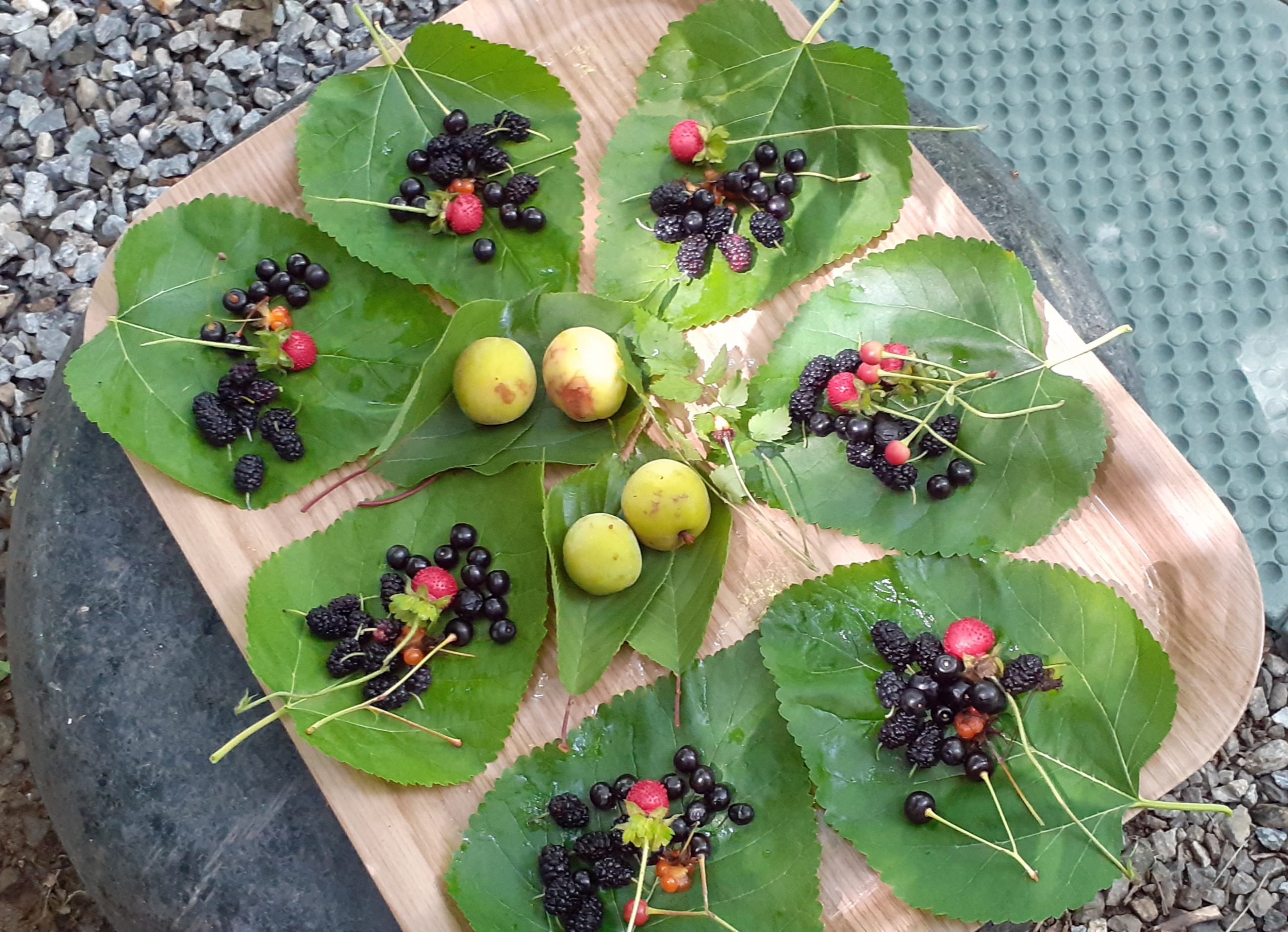 고덕수변생태공원_맛있는열매이야기