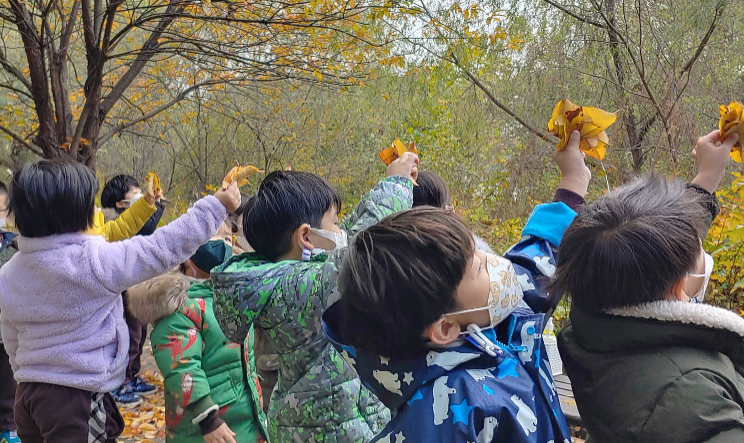 가을 숲놀이, 생태놀이
