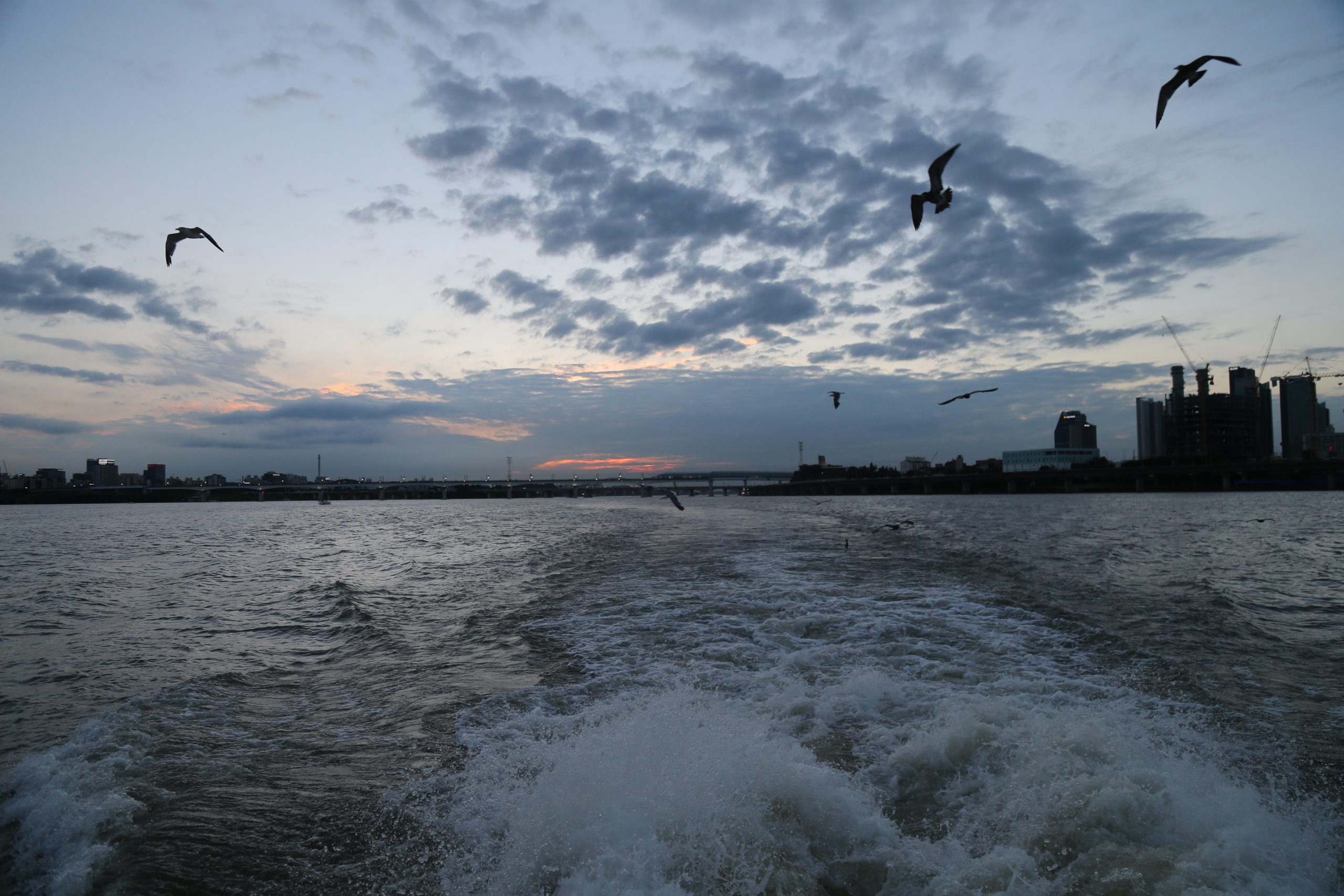 20170729_여의도한강공원_선상에서밤섬둘러보기_32