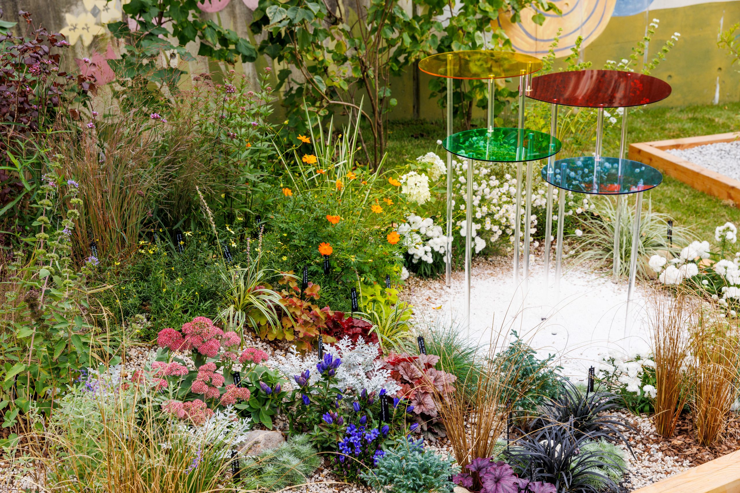 1. [금상] 정원, 잊어버린 꿈을 다시 채색하다