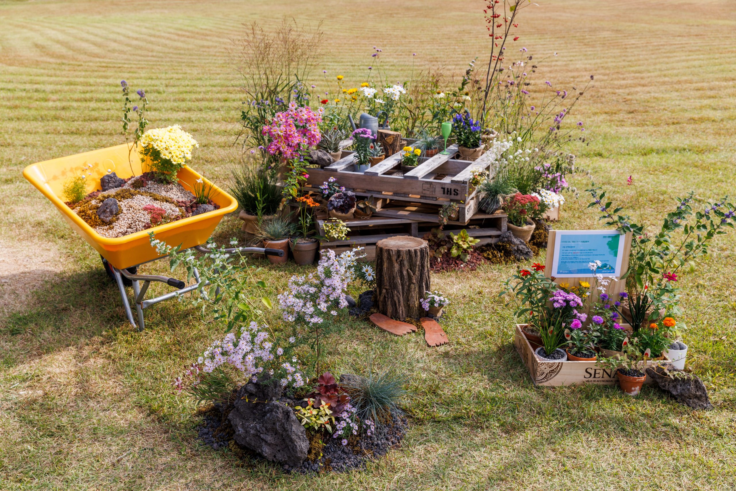 2. [은상] 너도나도 정원하자