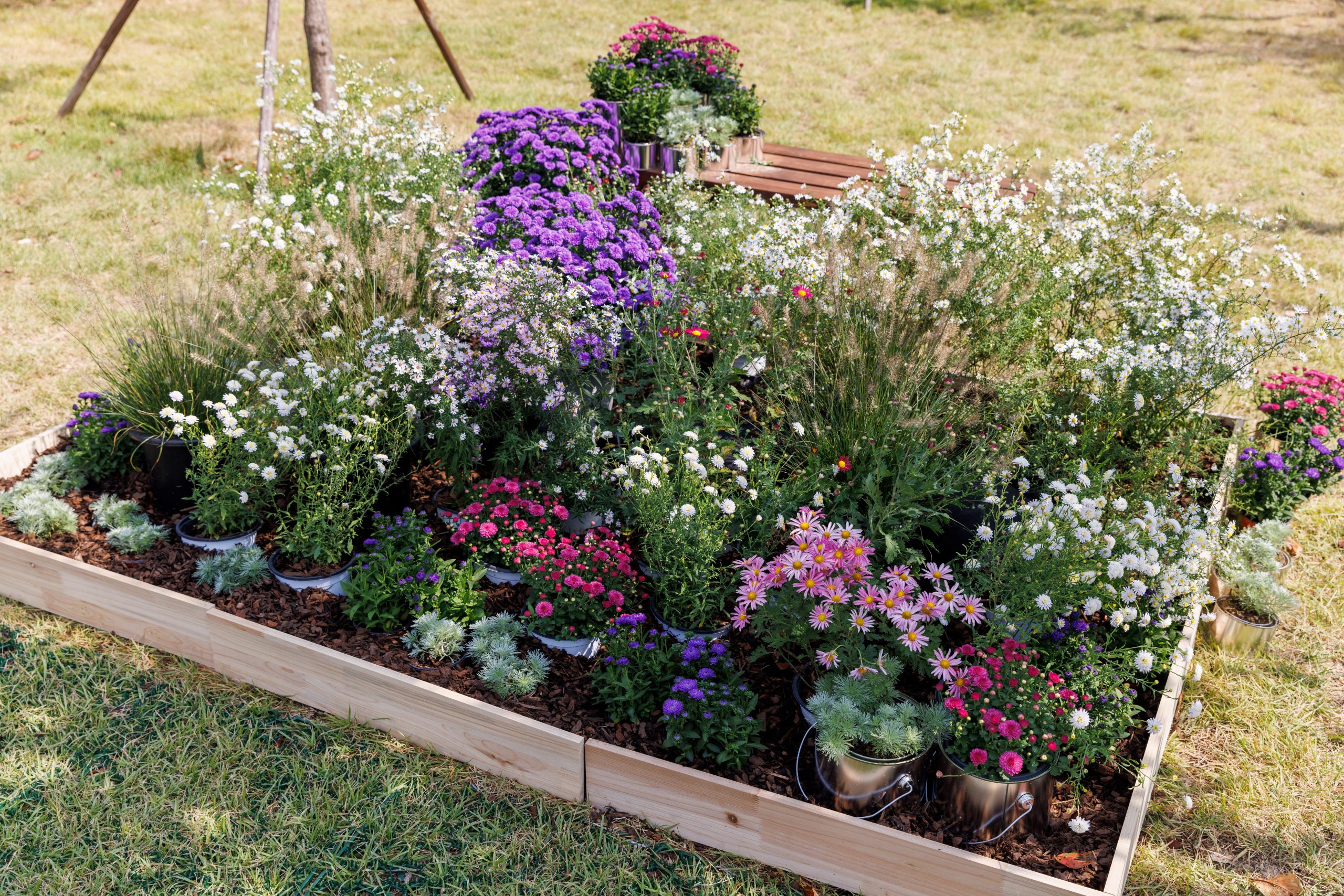 4. [동상] 별의 물감_ASTER paint