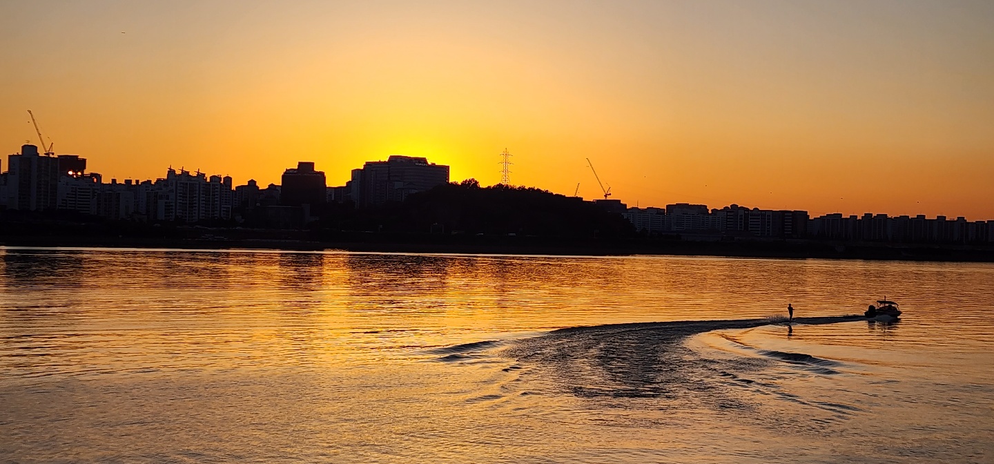 1012 손홍주 난지 1