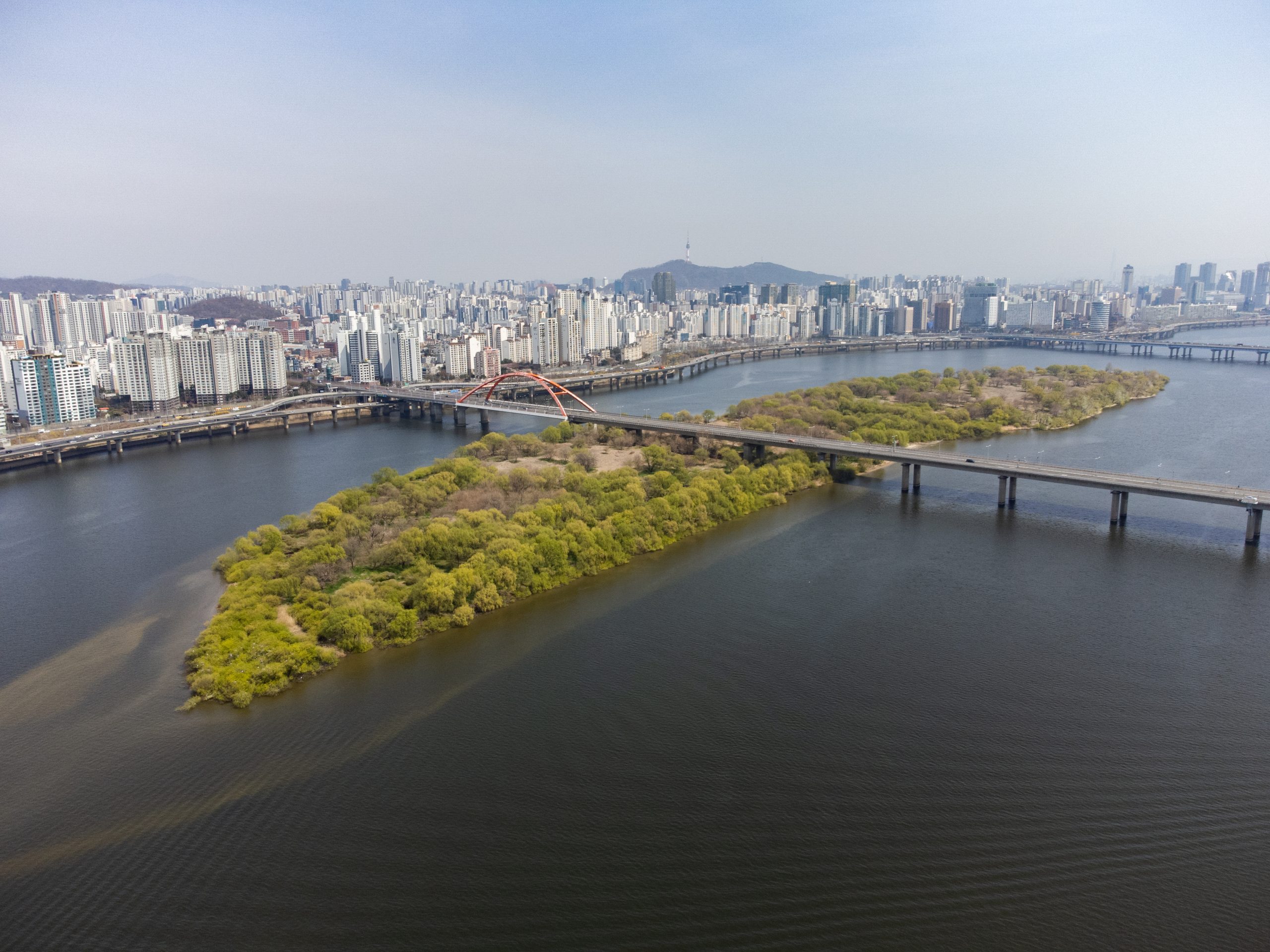 우리가 그린히어로와 함께 지키는 밤섬