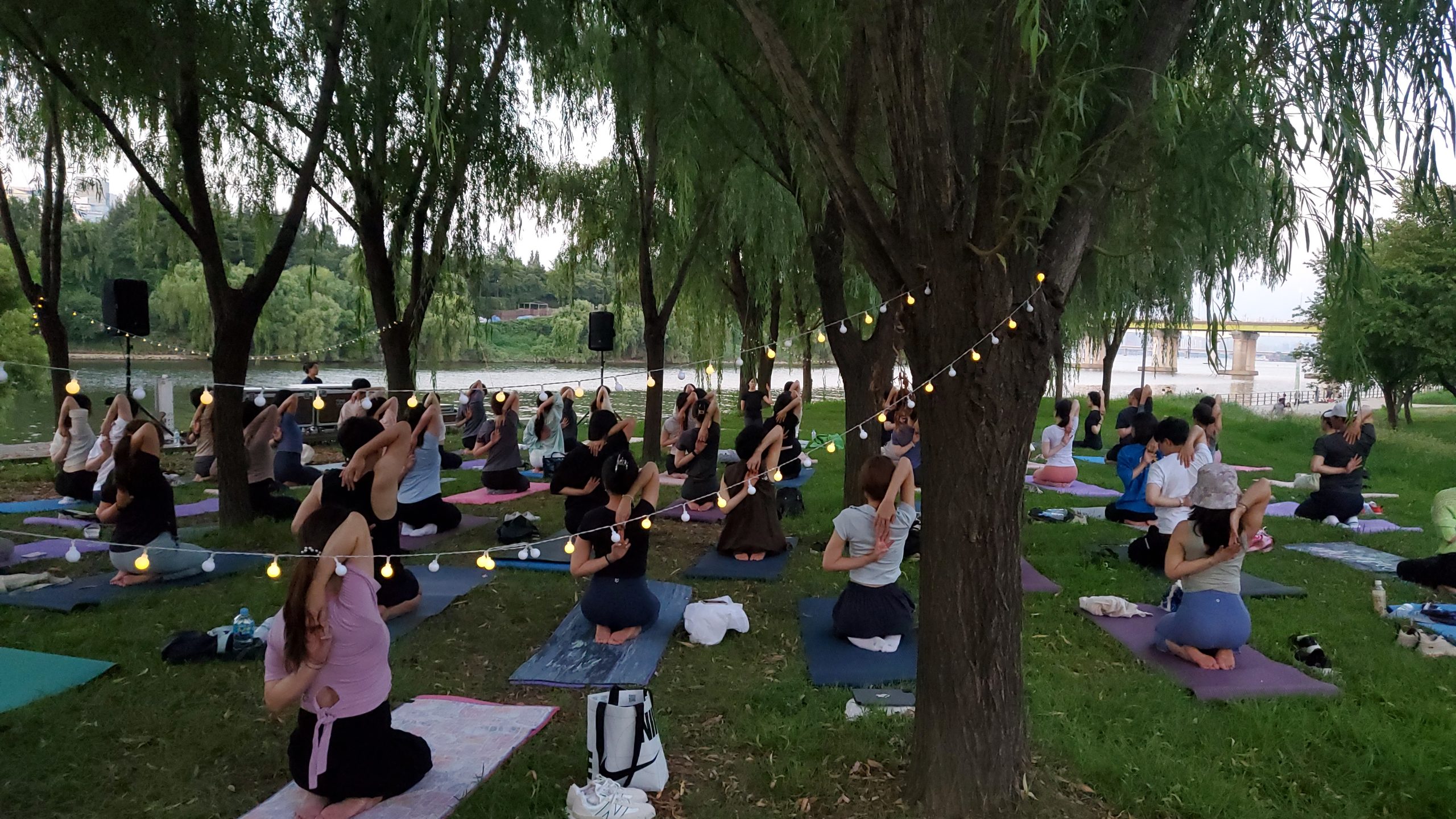 나홀로 요가 사진 (1)