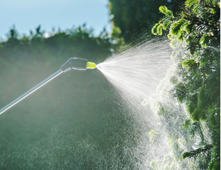 정원용품전 보러가기