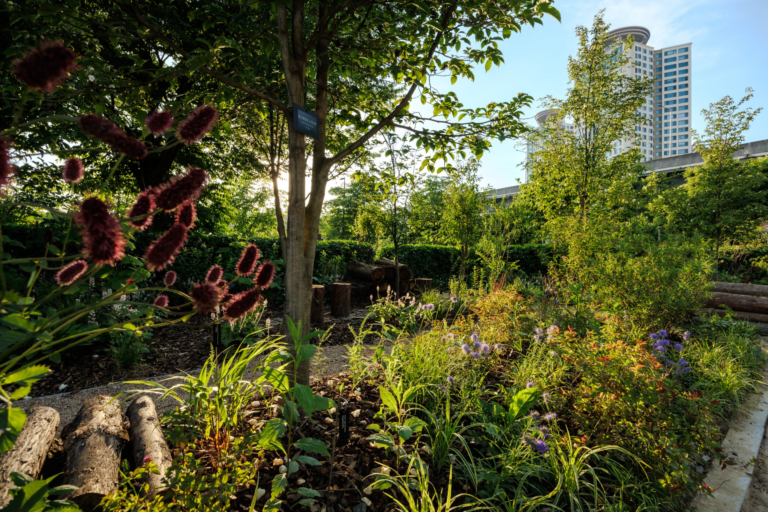 기관참여정원_D4 푸른수목원 2