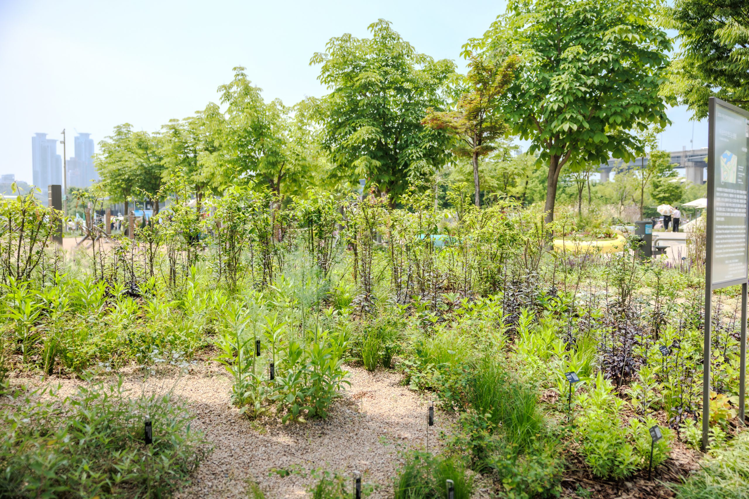 기관참여정원_D3 서울식물원 2