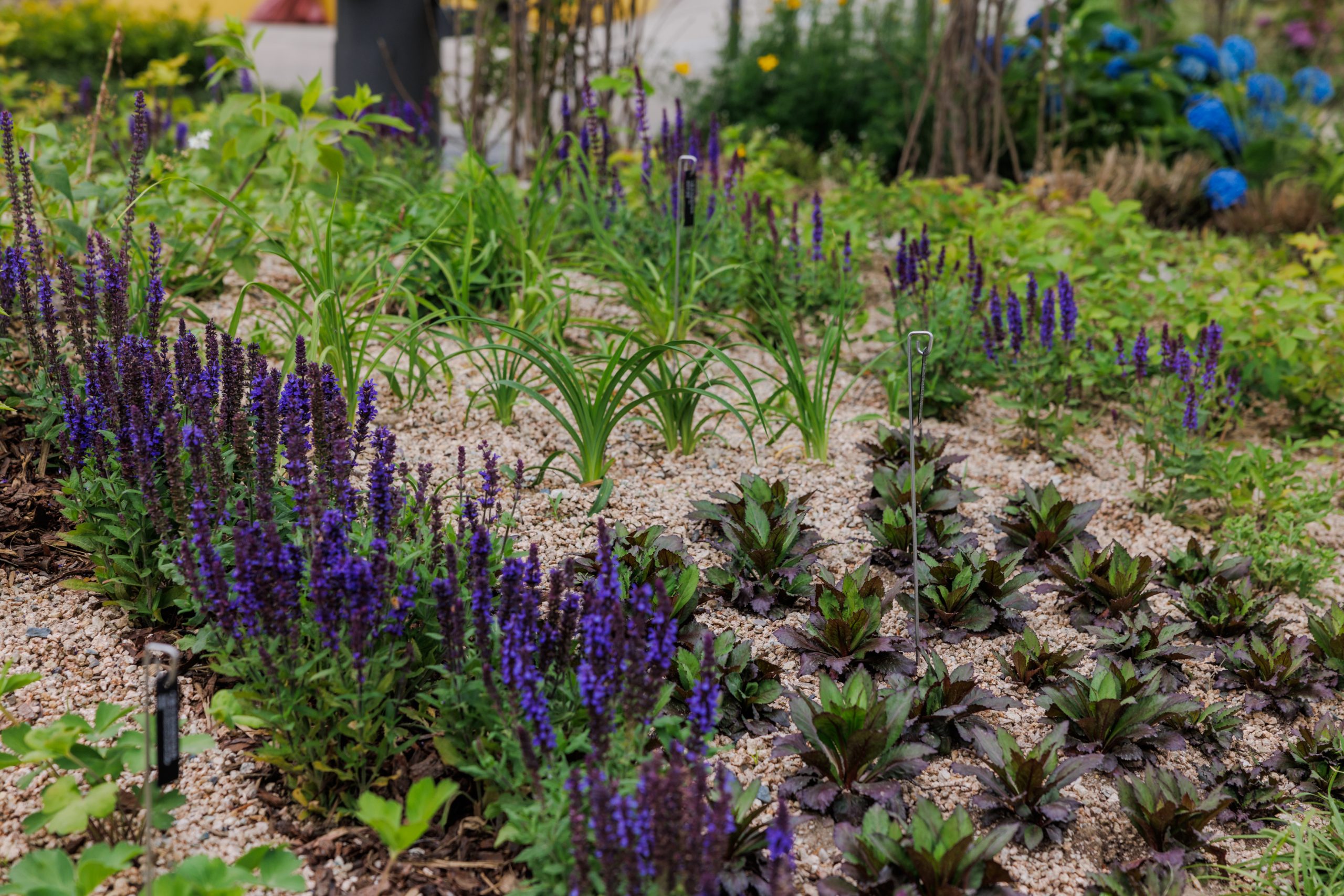 기관참여정원_D3 서울식물원 3