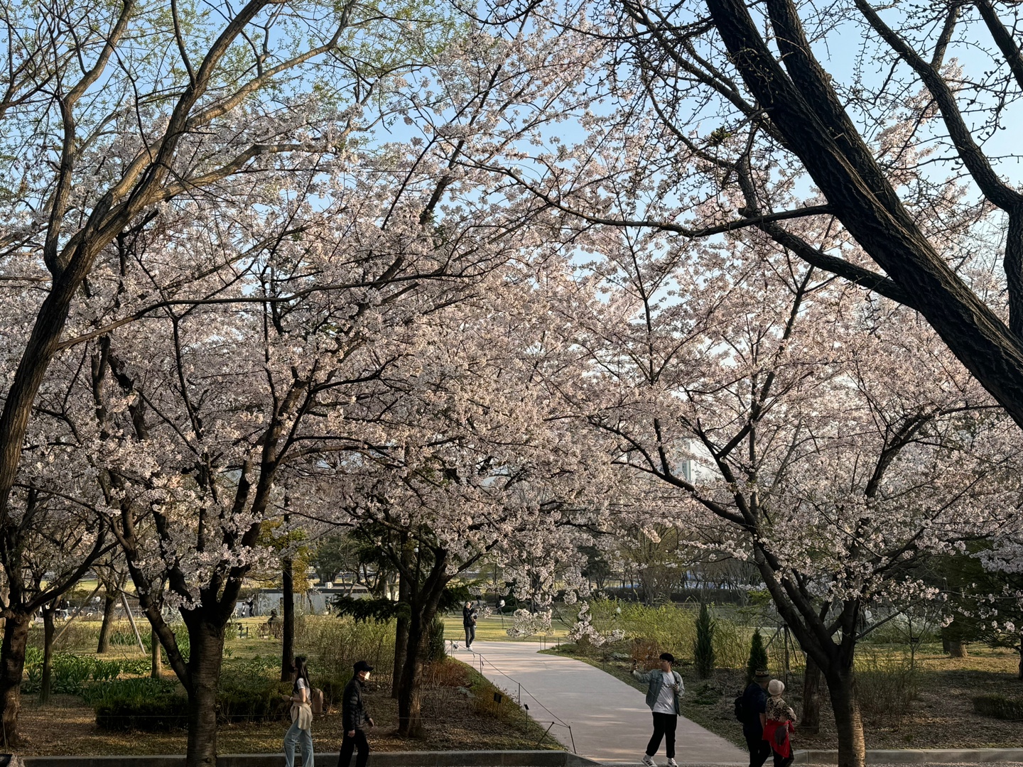 KakaoTalk_20250414_092735992_09