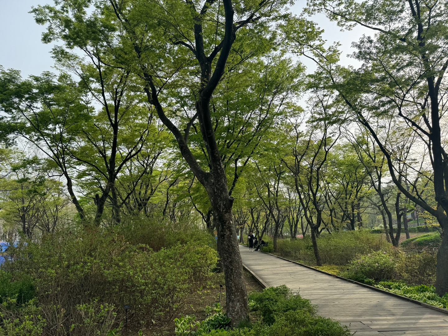 KakaoTalk_20250421_085537171_04