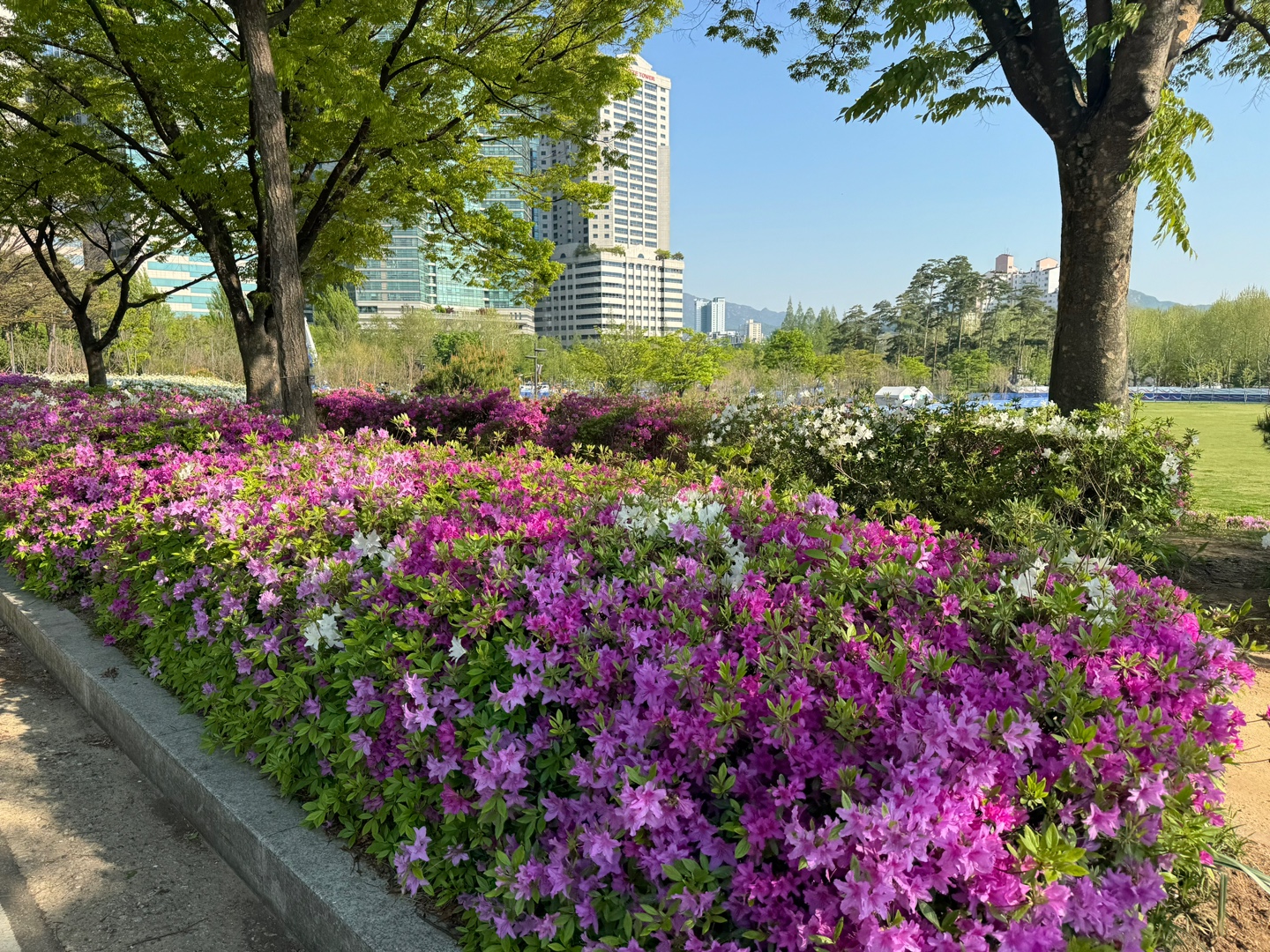 KakaoTalk_20250428_081414956_08