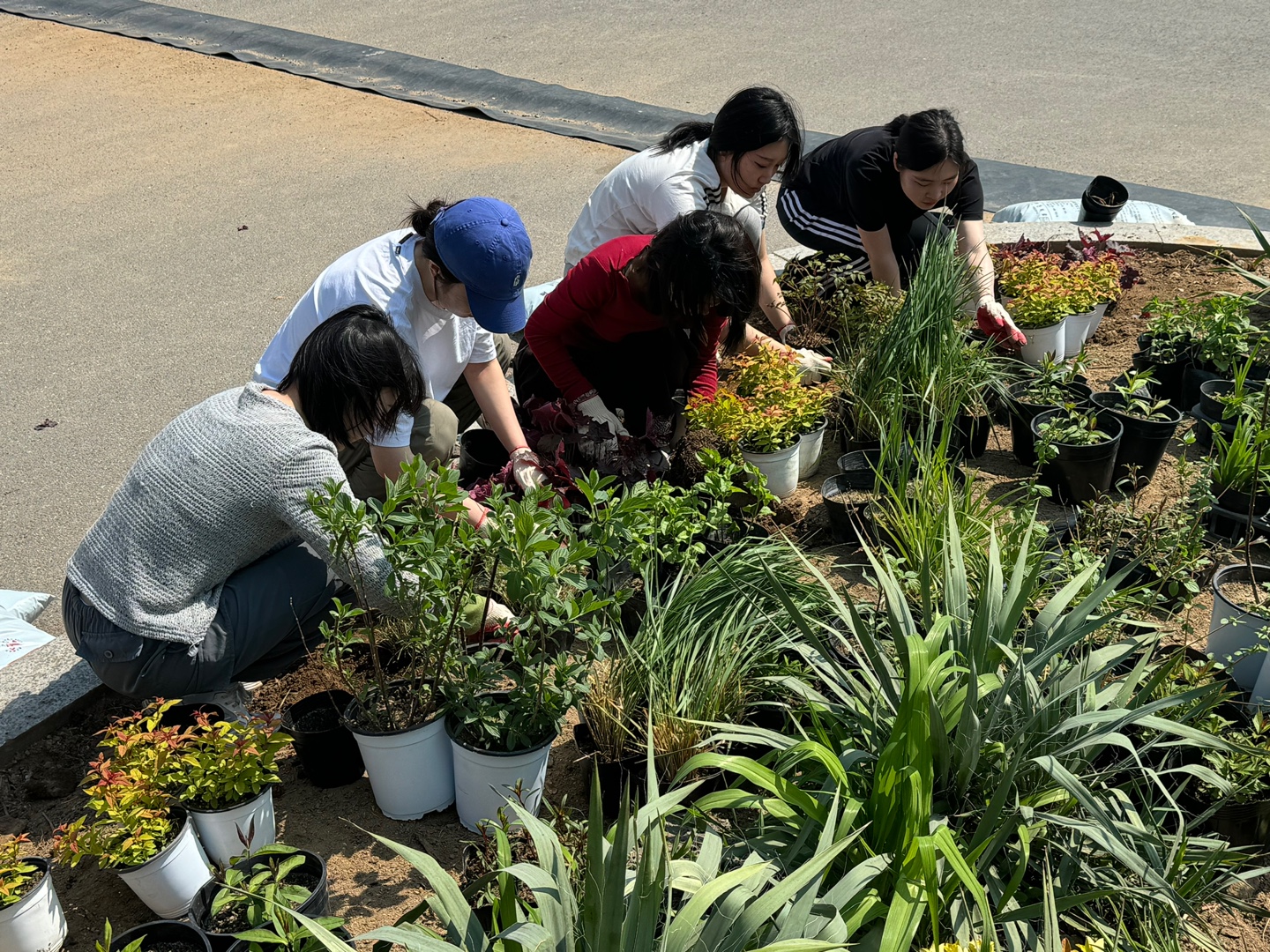 KakaoTalk_20250429_092448112_07