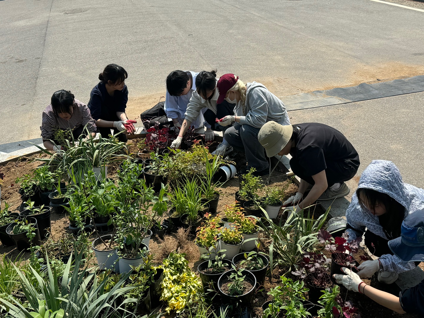 KakaoTalk_20250429_092448112_08