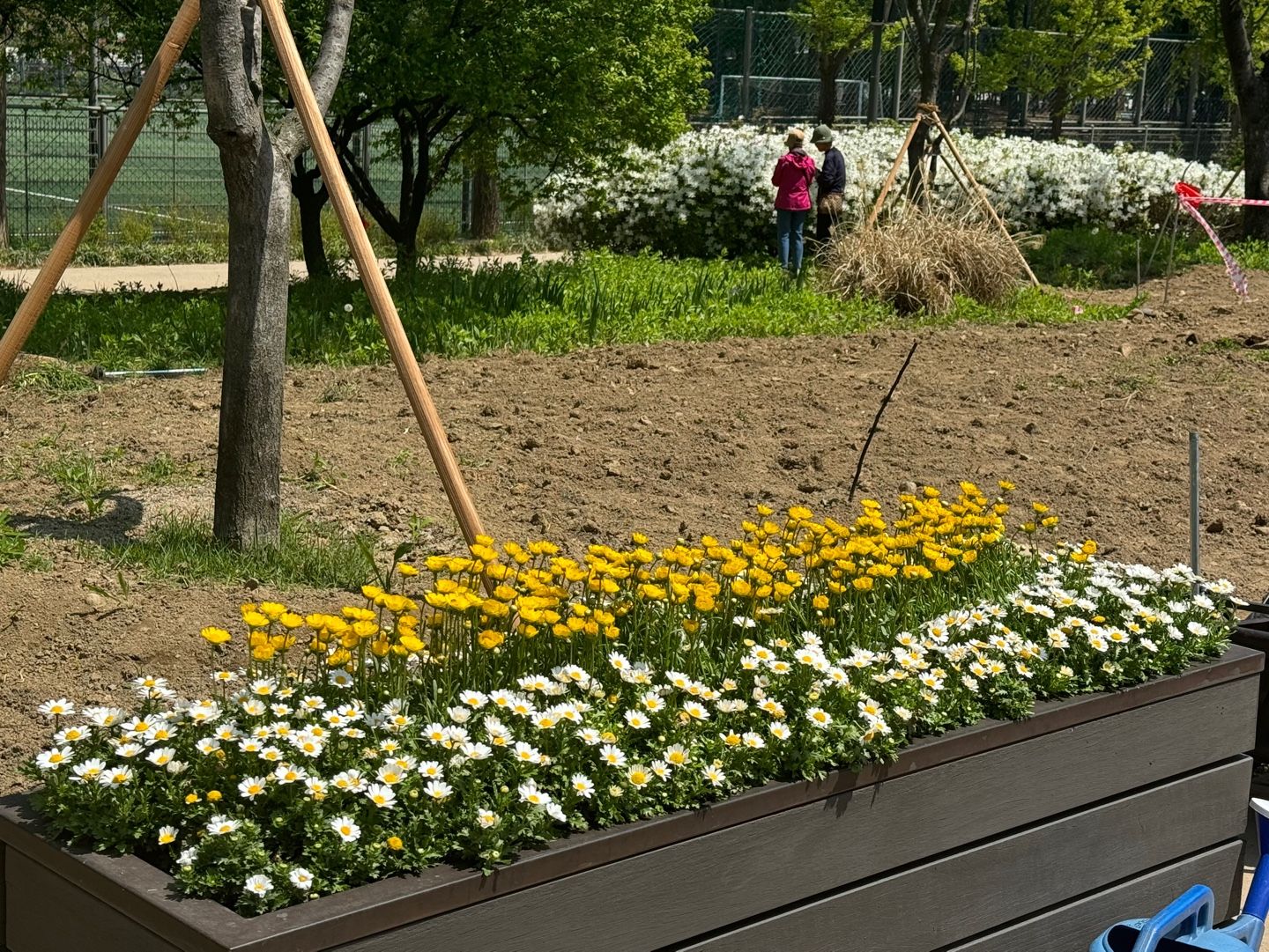 KakaoTalk_20250429_092448112_11