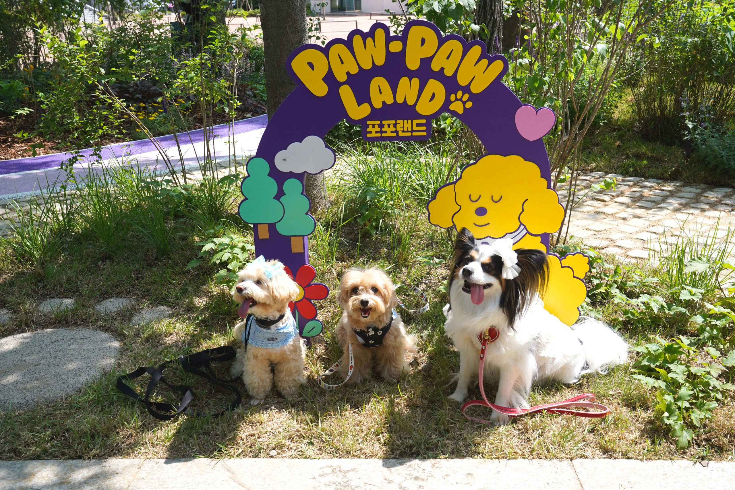 포포랜드 메인 이미지(수정)