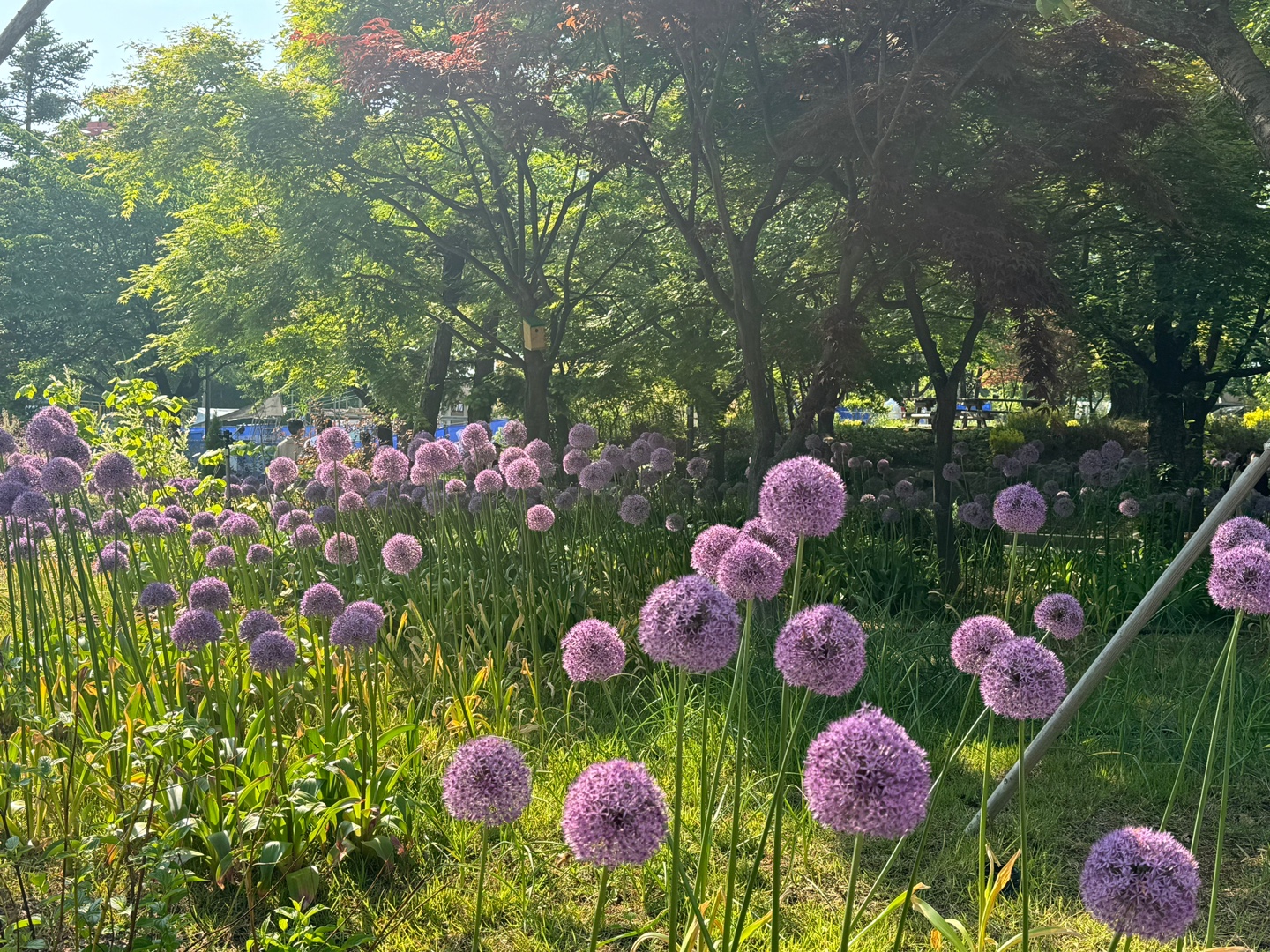 KakaoTalk_20250513_084833540